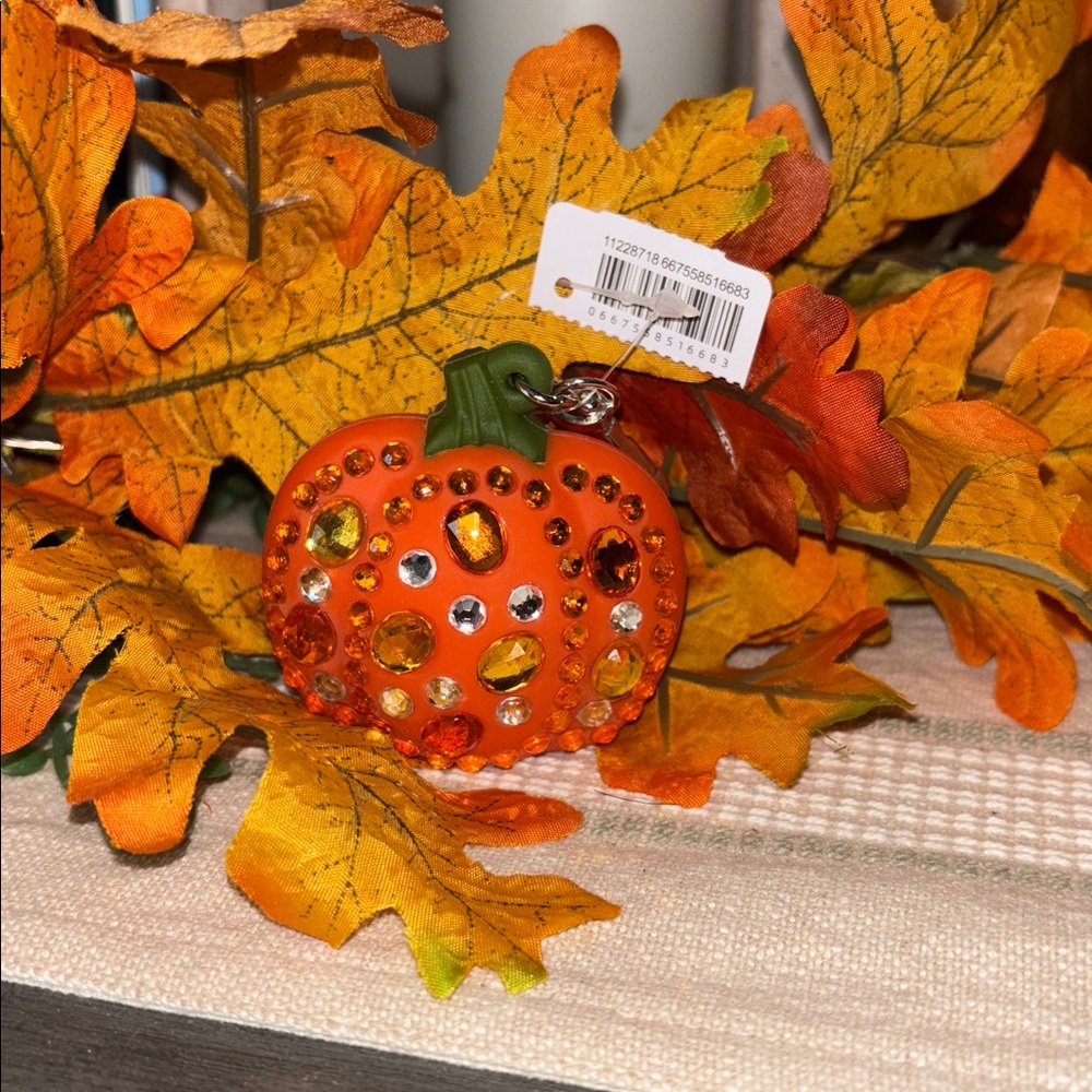 🆕 Jeweled Pumpkin pocketbac Keychain